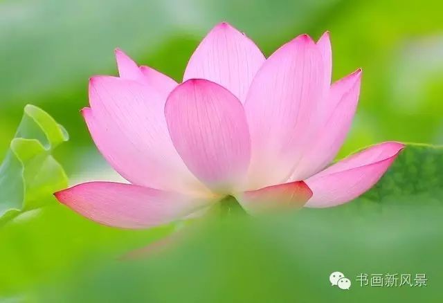 石宝杰老师 战友相聚 诗词作品欣赏——【民族诗人】征稿——都市头条(图4)
