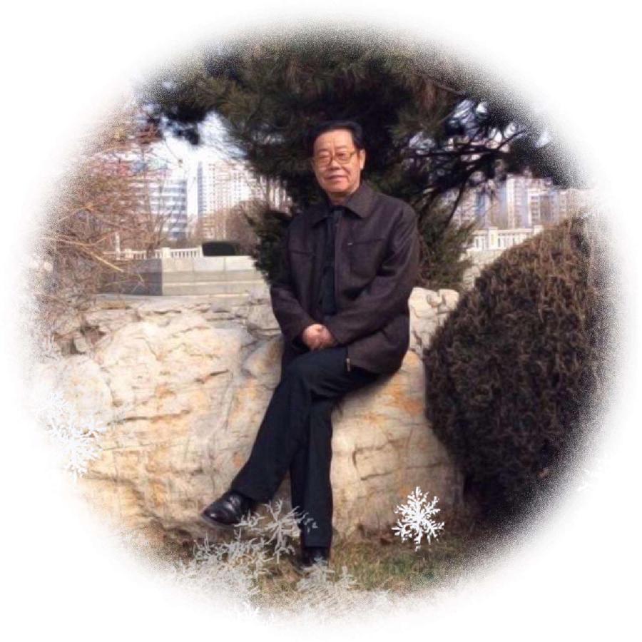 中华诗艺社黑龙江分社微刊第247期(图6)
