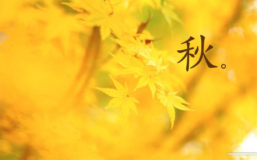 刘林丽诗歌作品224期《落叶思念》主播/友友 编辑制作/刘林丽(图2)