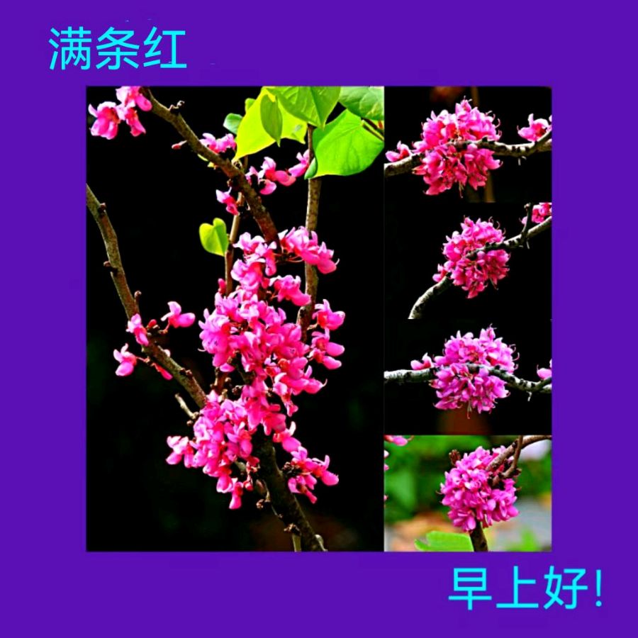 联机全球发布马洪武作品欣赏（图404）