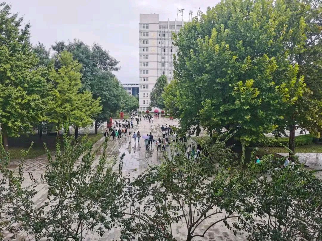 七律 · 秋晨雨后校园信步（中华新韵） 扬 鲁（图2）