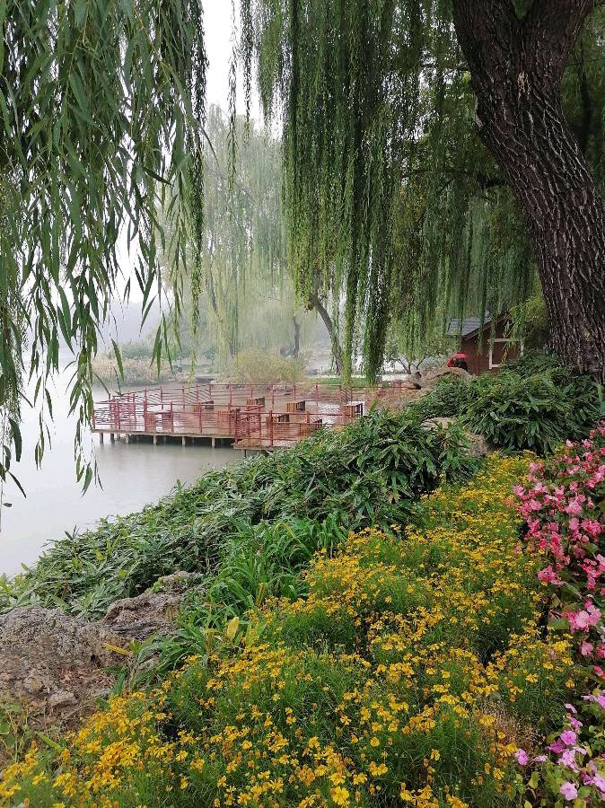 《九江文学社：有声文学》《秋雨送别最后的晚秋》 文/洪新爱 精英主播/上善若水（图3）