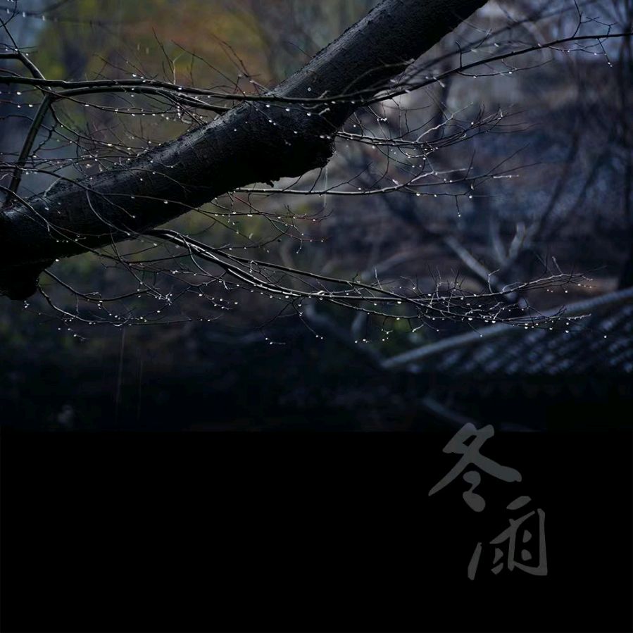 韩庚的《冬雨》