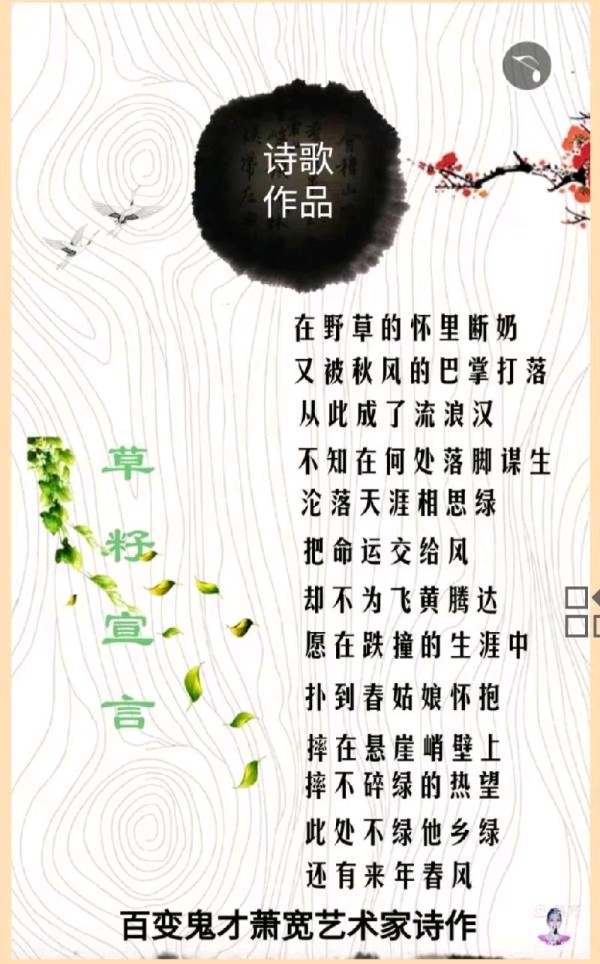 萧宽青钱柳茶赋（图41）