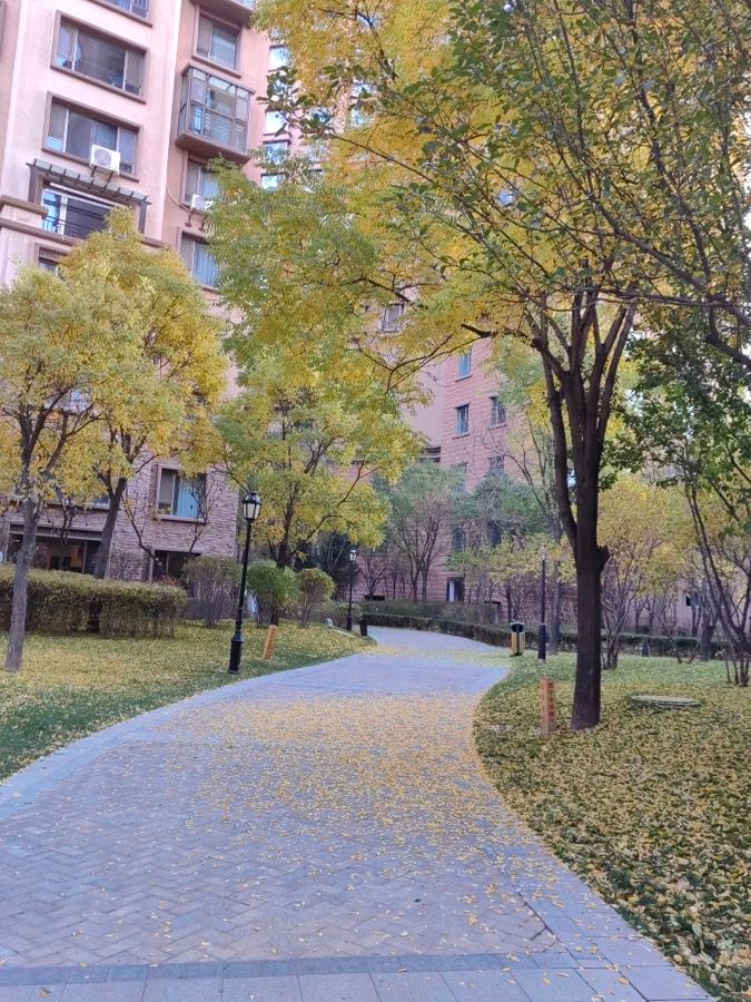 汉俳连作ll北国晚秋 文／赵正霞（青海）京津沪头条（图2）