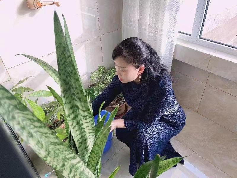 【新诗大观】立冬||文/花惜柔（图4）