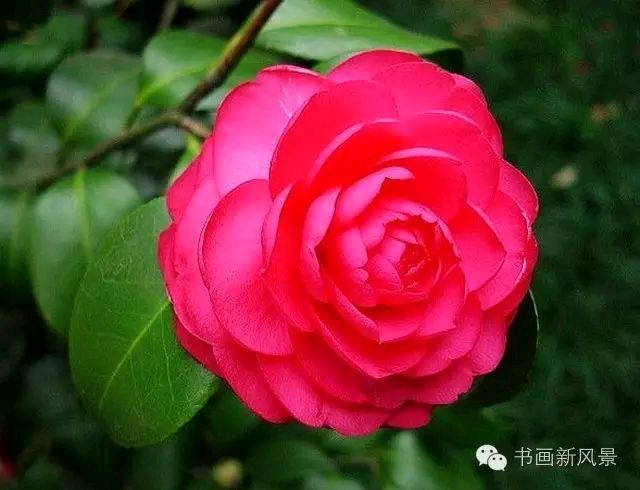 人生总在历练(外二首)——作者:郭红涛——【民族诗人】征稿——都市头条(图3)