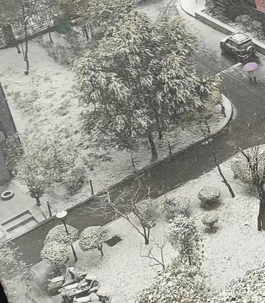 【荣耀中国】暮秋雪作者/姜满成（图3）