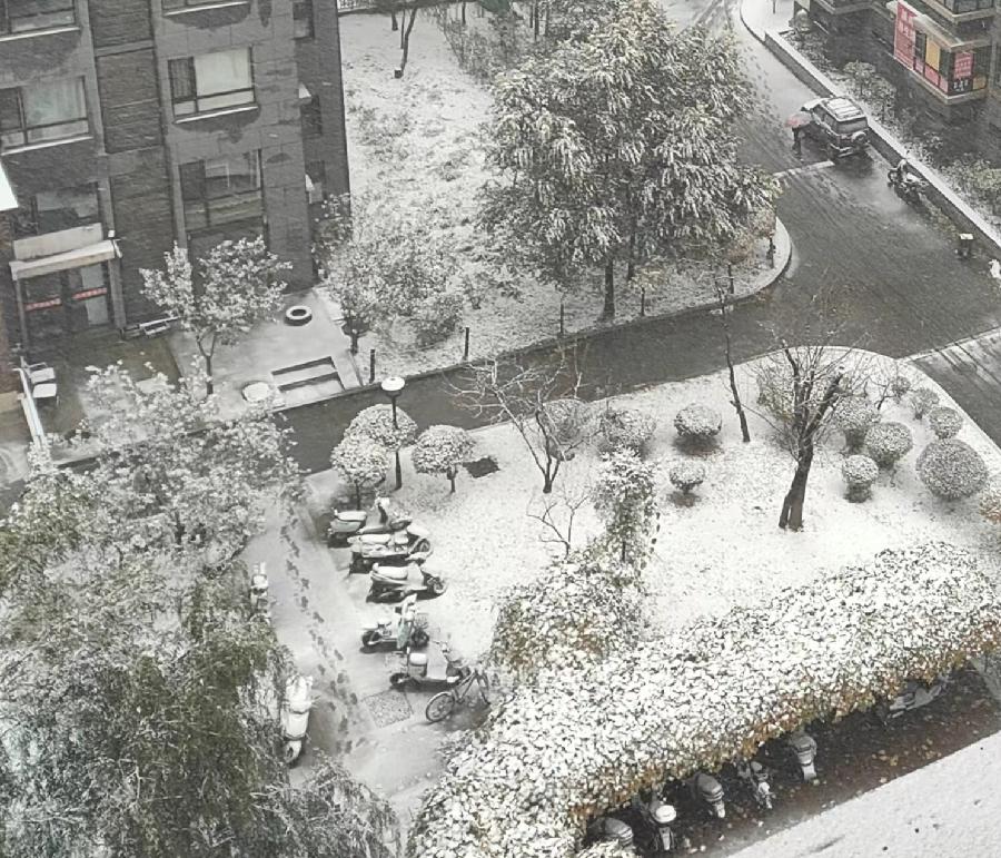 【荣耀中国】 七言.雪景（下平七阳）文/岳根心（图3）