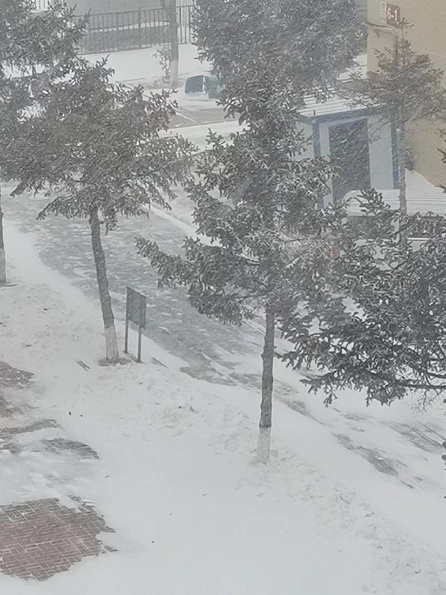 【荣耀中国】七绝·初雪作者/王清义（辽宁沈阳）（图4）