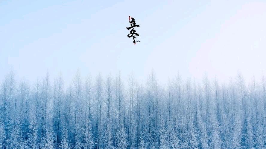 【重磅推出】鲁坡//立冬赋[放歌冬天]（二首）（图10）