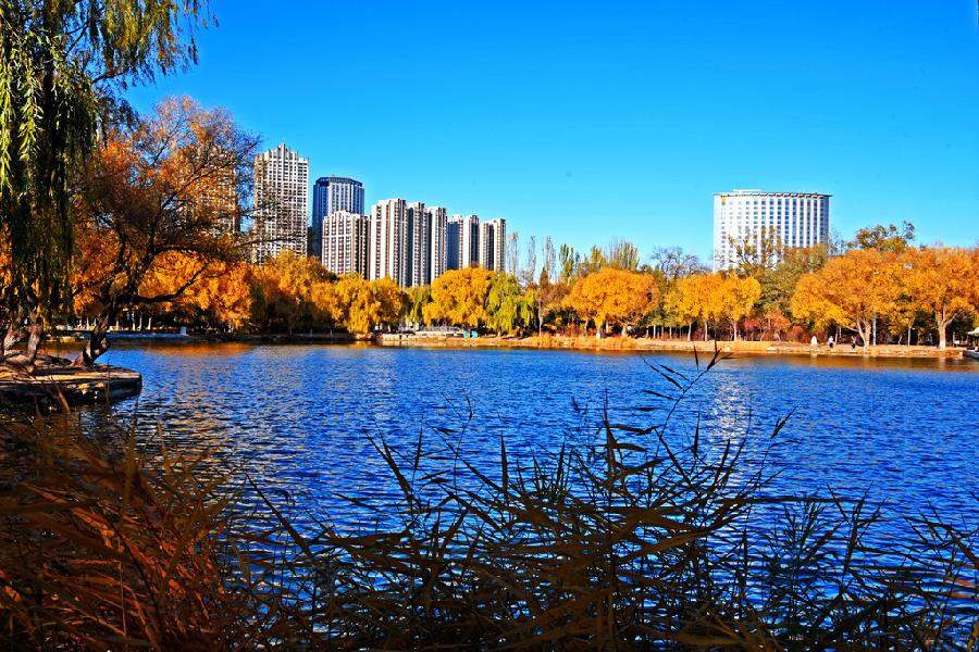 【荣耀中国】七言绝·初冬景（入声二沃）文／张全喜（图3）
