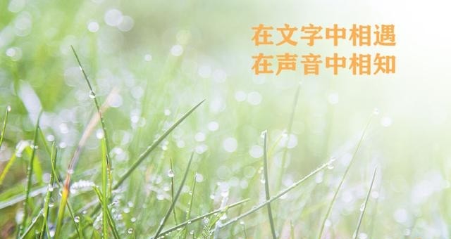 《你是我秋天的最美遇见》作者:戈月【主播:燕子】【桃源国际诗歌集团】桃源♬ 馨声（图20）