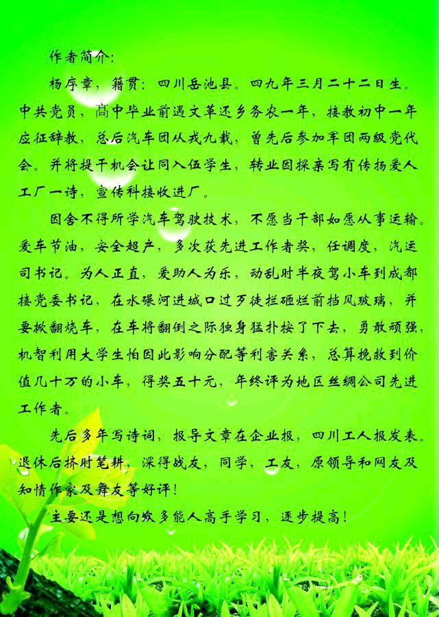 中华诗艺社黑龙江分社微刊第250期（图40）