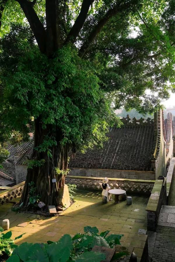 立冬（外五首）文/褚向平（河北）【冰心文化传媒】（图7）