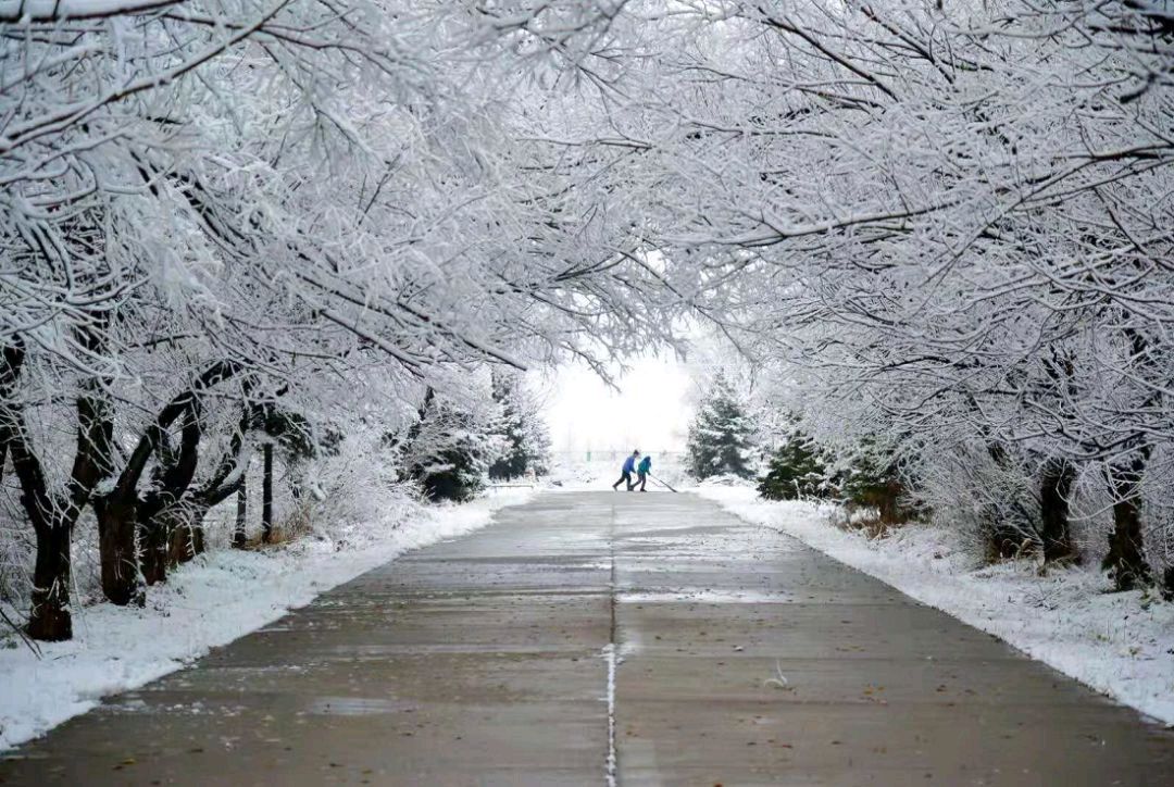 【中国长江文学社】《2023年的第一场雪》作者 王建华//主播 缈邈//编辑 岁月静好 第 6799期（图3）