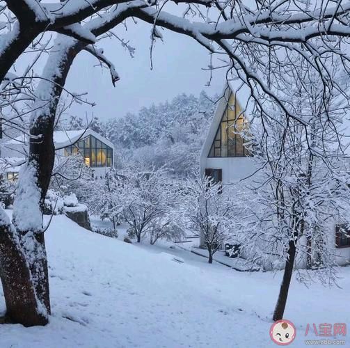 【中国长江文学社】《2023年的第一场雪》作者 王建华//主播 缈邈//编辑 岁月静好 第 6799期
