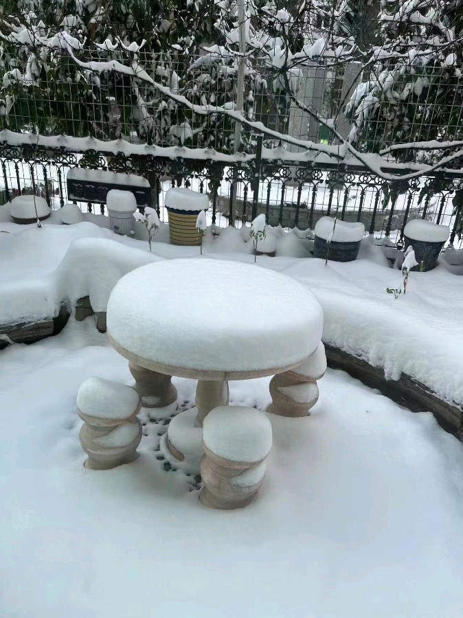 【诗词鉴赏】小重山·初冬第一场雨雪 文/王胜利（图4）