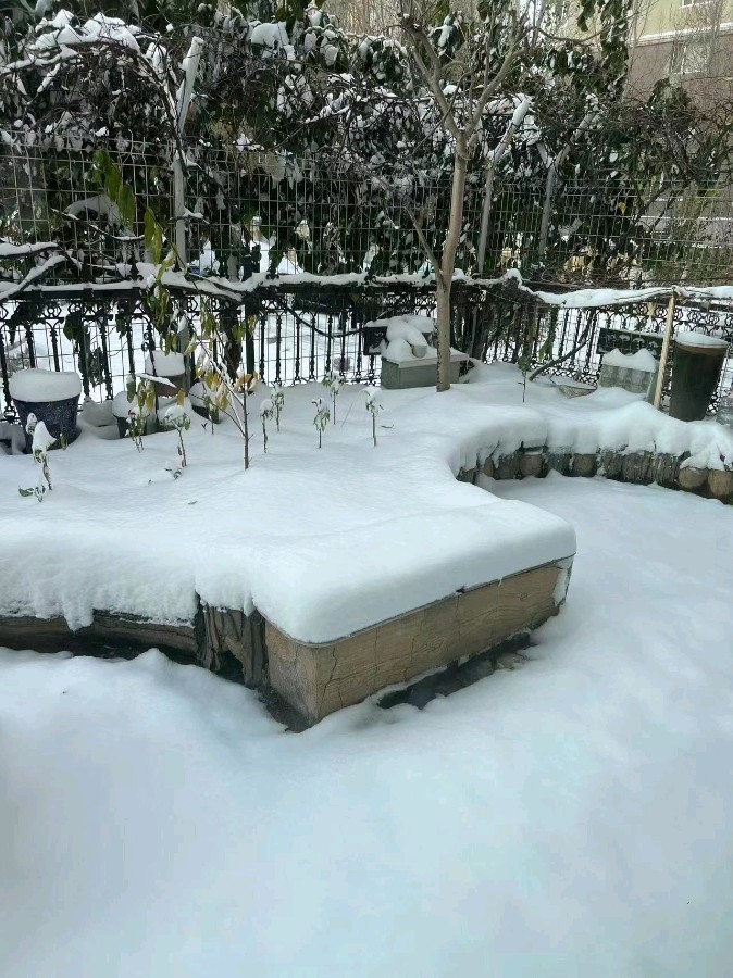 【诗词鉴赏】小重山·初冬第一场雨雪 文/王胜利（图3）