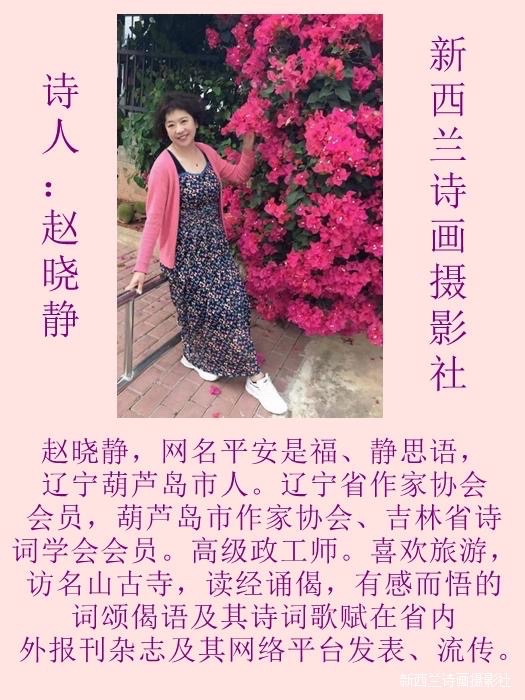 💐㊗️🍷《贺世界诗歌联合总会七周年庆》文：赵晓静【新西兰诗画摄影社】世界诗人名人展特刊🌏（图4）