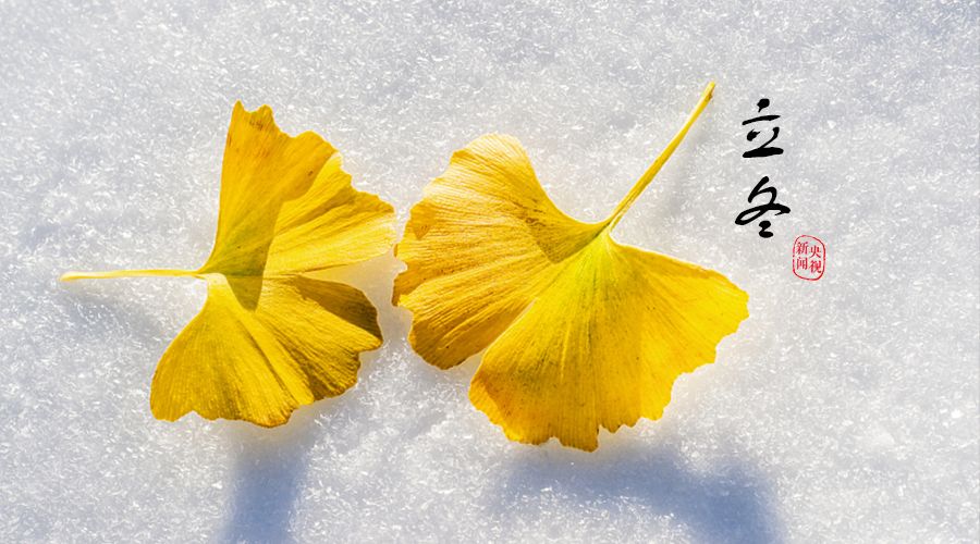 《癸卯立冬感怀》文/西沉（图3）