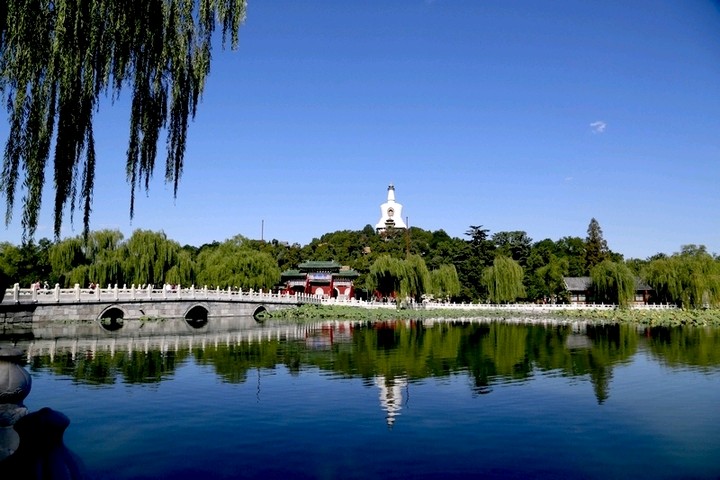 秋天的怀念（图3）