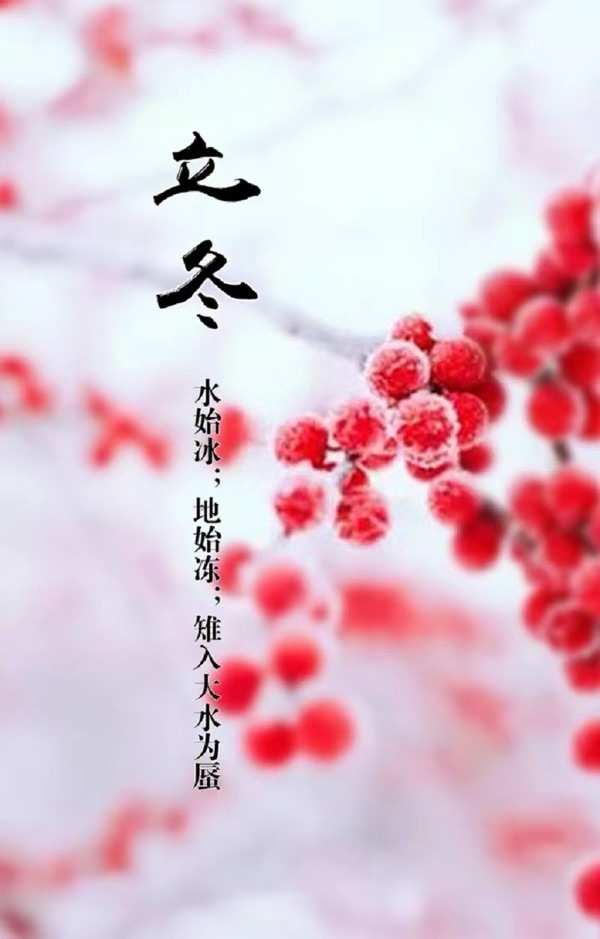 《立冬抒怀两篇》文：诗坛小儿童（北京）四合院诗刊【世界诗人名人展】（10695）（图3）