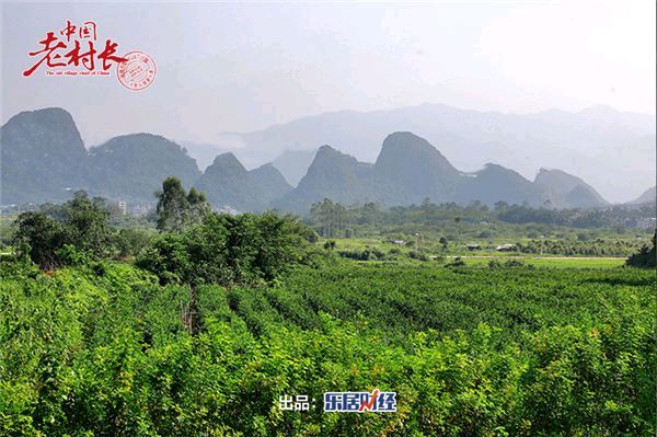 【时刻想念儿童日子～煮英德擂茶粥～送红薯芋头长大】作者/罗定友～（广东英德黎溪恒昌）翻唱/｛活着为了什么｝（图6）