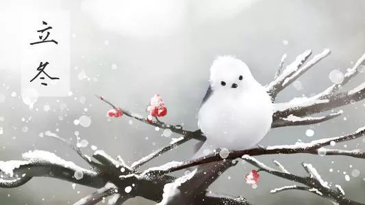 定风波＊立冬 金夜(兰州)（图2）