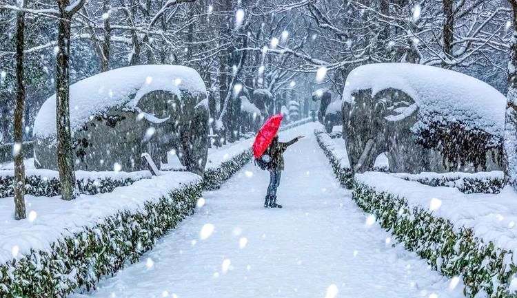 【新山东文学社】《飞雪情》作者/田歌 主播/红叶（图5）