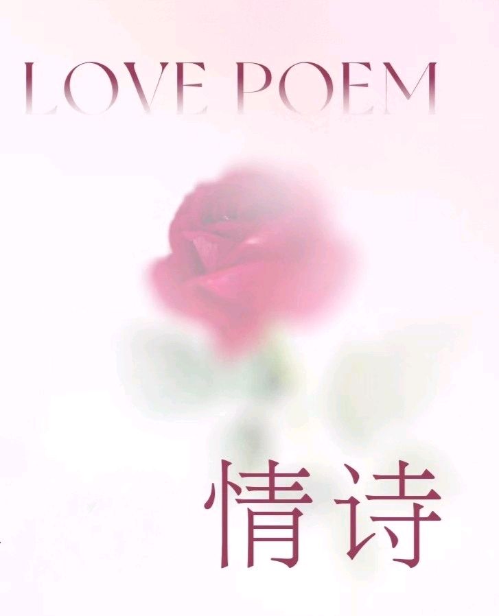 《不老相思催梦老，幽怀空渡好时光》做者:旭日东升【主播:玲子·一弓】【桃源国际诗歌集团】桃源♬ 馨声（图23）