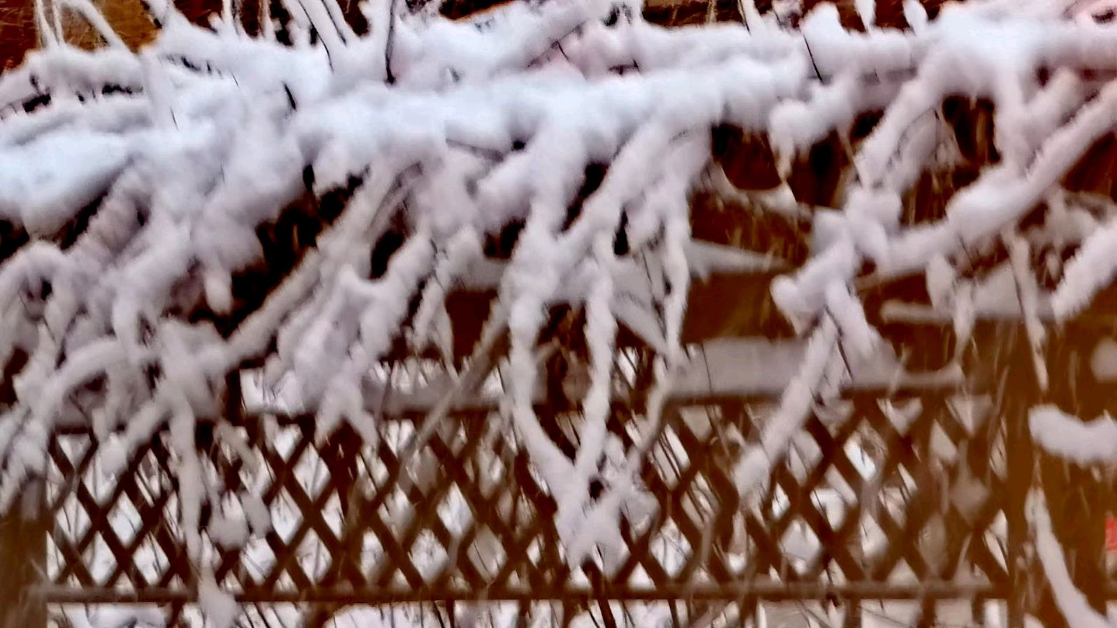 【中国长江文学社】《初雪》作者 李绵玉//主播.编辑 岁月静好 第6796期（图7）