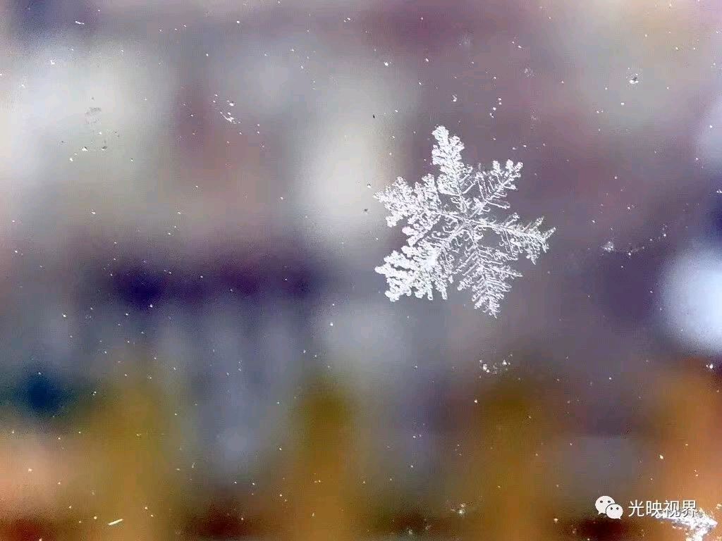 *白雪赞*作者：吉运〔新疆伊犁〕【冰心文化传媒】（图3）