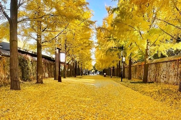 联机全球发布杜梅作品欣赏（图8）