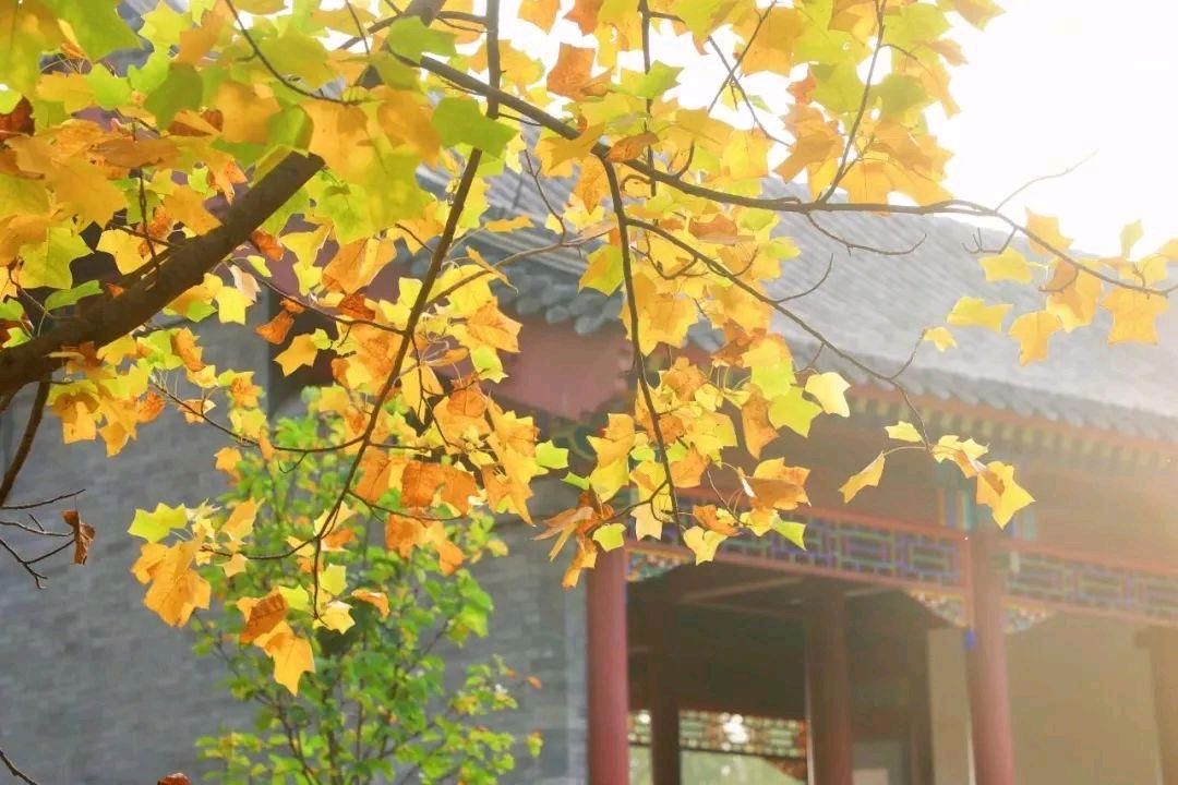 古塔文学 ‖ 吴万瑞作品专辑（图7）