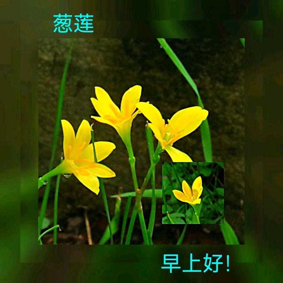 联机全球发布马洪武作品欣赏（图398）