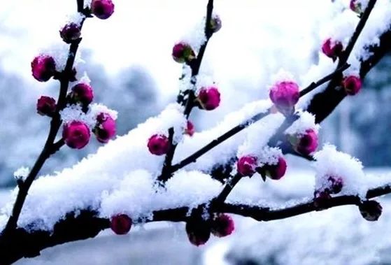 闲冬诗赋 文/线连石（图5）