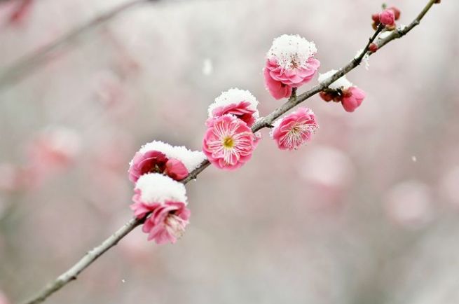 闲冬诗赋 文/线连石（图3）