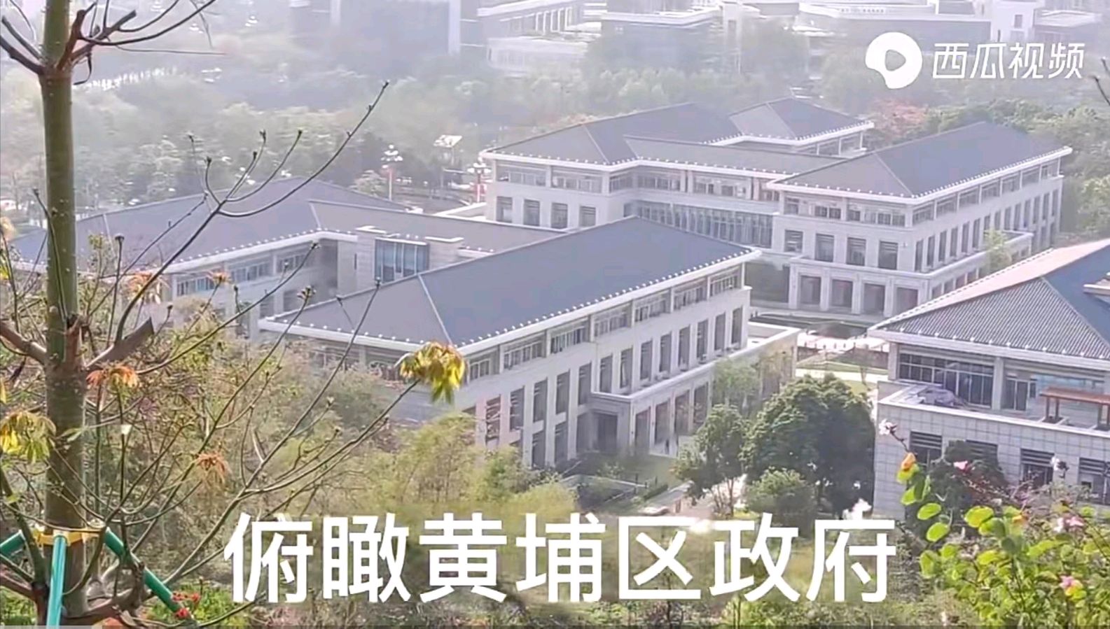 【经典推荐】曾培方//赞广州黄埔[外一首]（图3）
