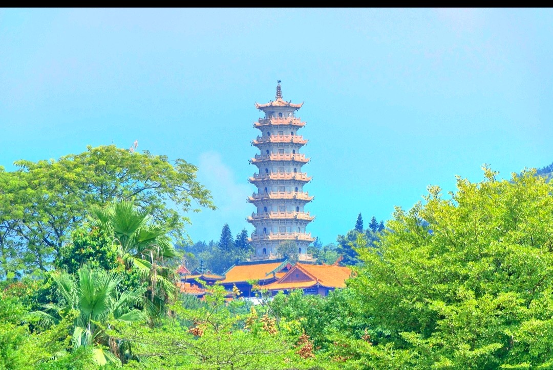 【经典推荐】曾培方//赞广州黄埔[外一首]（图7）