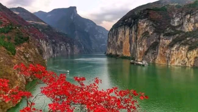 五律 立冬闲吟（外四首）作者：青苹果〔甘肃天水〕【冰心文化传媒】（图7）