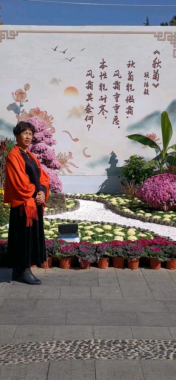《菊赋》作者：蔚华（图8）