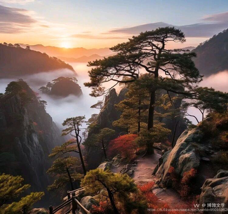 【自由体】《初冬》作者/郑金波（图3）