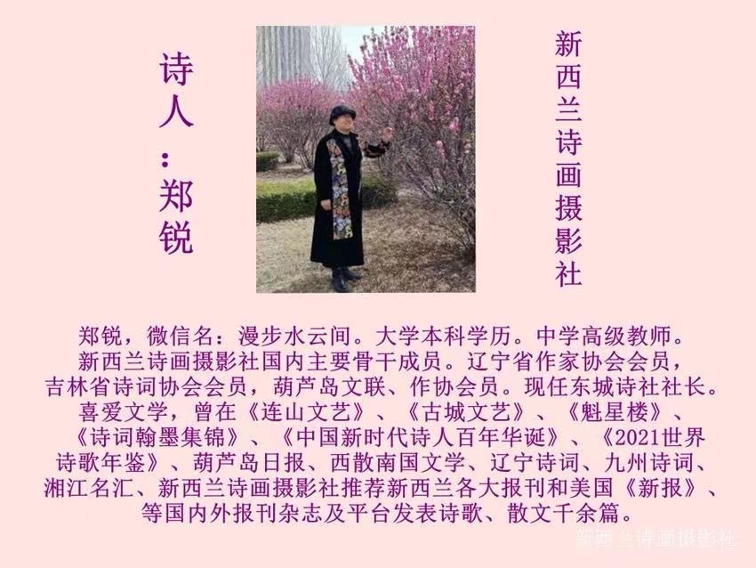 💐㊗️🍷《贺世界诗歌联合总会七周年庆》文：郑锐【新西兰诗画摄影社】世界诗人名人展特刊🌏（图4）