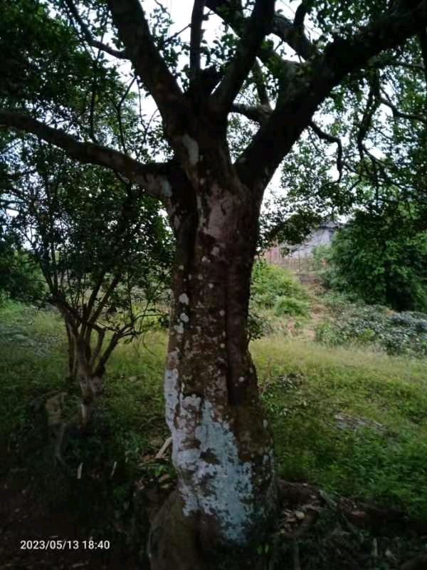 千年古刹——建宁县地藏寺*传神记载：谢胜明〔福建〕【冰心文化传媒】（图6）