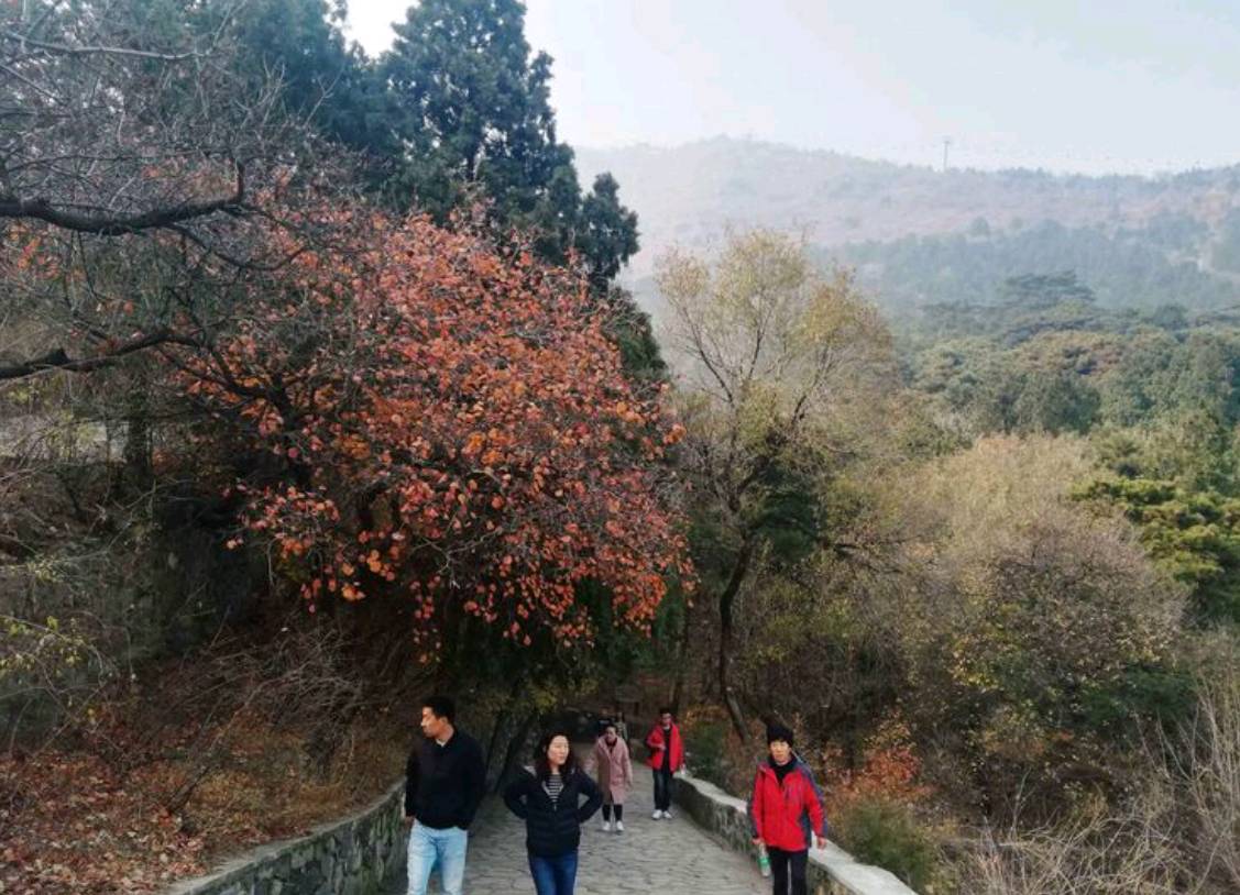联机全球发布易水翁作品欣赏（图33）
