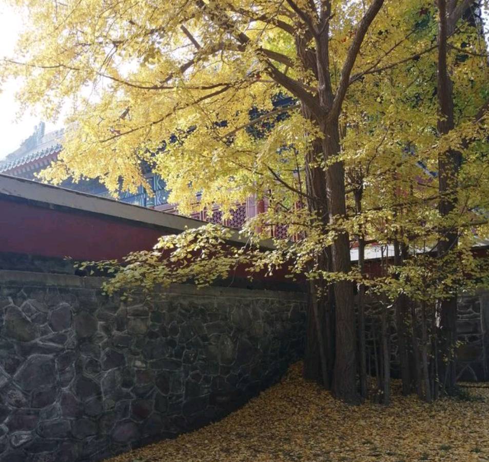 联机全球发布易水翁作品欣赏（图34）