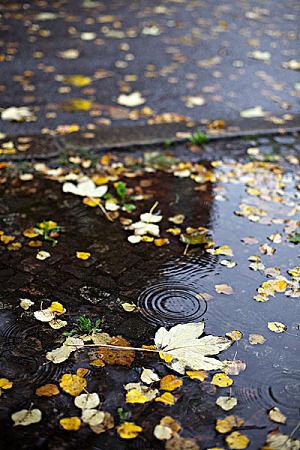 《雨水》作者:杨咏椿【主播:悠闲】【桃源国际诗歌集团】用声音传递温暖以诵读致人生♬（图5）