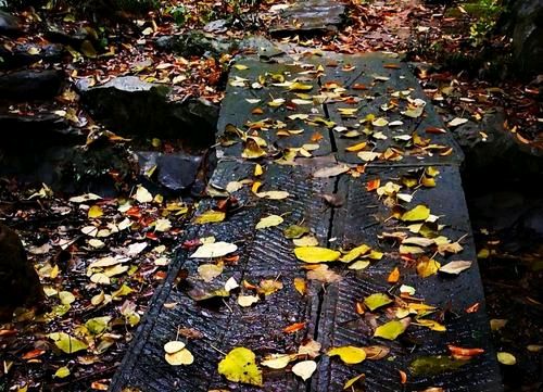 《雨水》作者:杨咏椿【主播:悠闲】【桃源国际诗歌集团】用声音传递温暖以诵读致人生♬（图7）