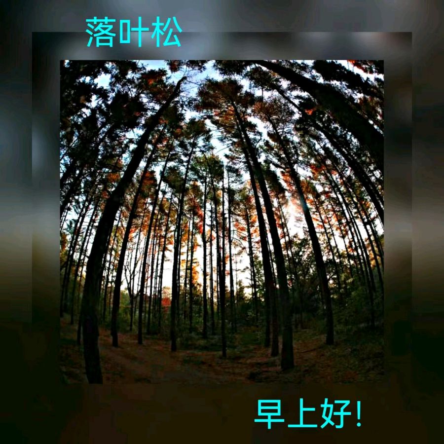 联机全球发布马洪武作品欣赏（图394）